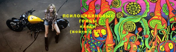 бошки Алзамай