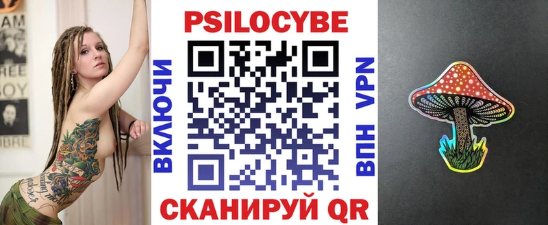 OMG зеркало  Пласт  Псилоцибиновые грибы Cubensis  купить  